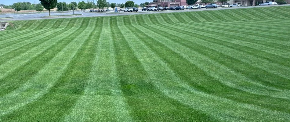 Mowing pattern on a sprawling lawn in Lititz, PA.