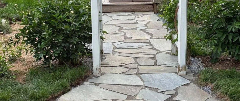 Flagstone walkway in Lititz, PA, with surrounding plants.