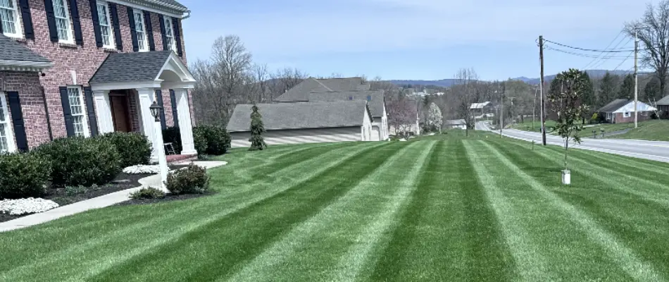 Freshly mowed grass in front of a house in Leola, PA.
