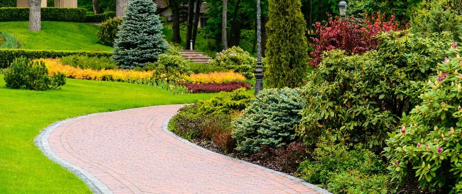 Lush landscape plants and green lawn by a walkway in East Petersburg, PA.