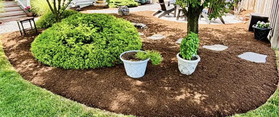 Landscape in Lititz, PA, with brown mulch and some plants.