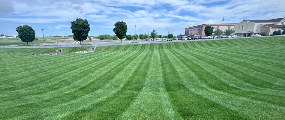 Large lawn on a commercial property in Leola, PA, with mowing stripes.