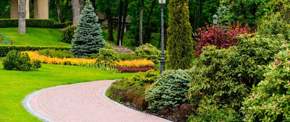 Lush, vibrant plants along a walkway in Mount Joy, PA.