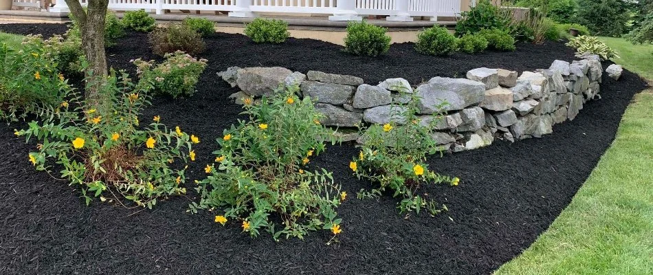 Plants with black mulch on a property in Willow Street, PA.