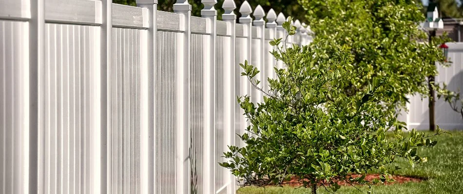 Red patio being washed by a professional.